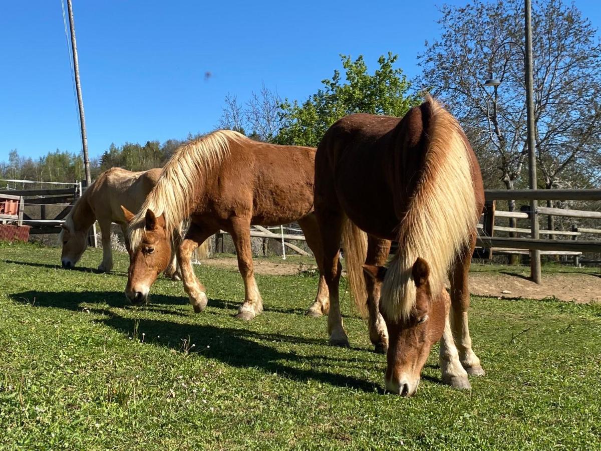 Ranch Enbruca Leilighet Boves Eksteriør bilde